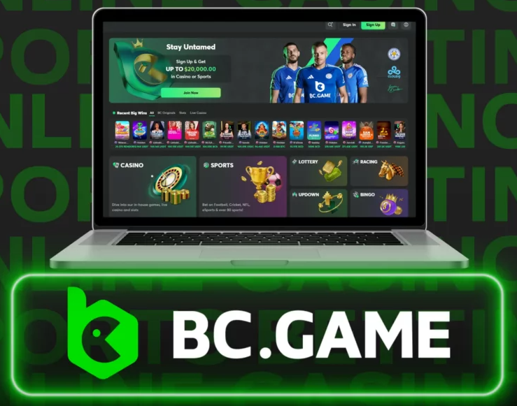 Understanding Bc.G Unveiling the Secrets of Digital Gaming